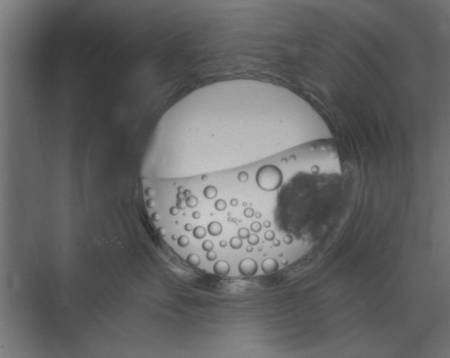 X0000073850527200608241046