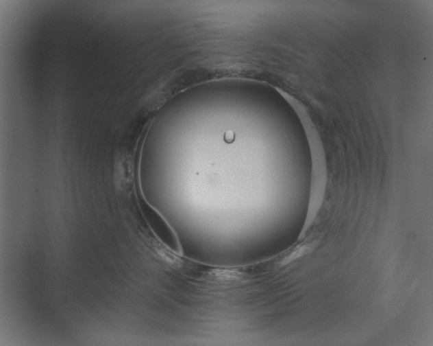 X0000073850528200608241046