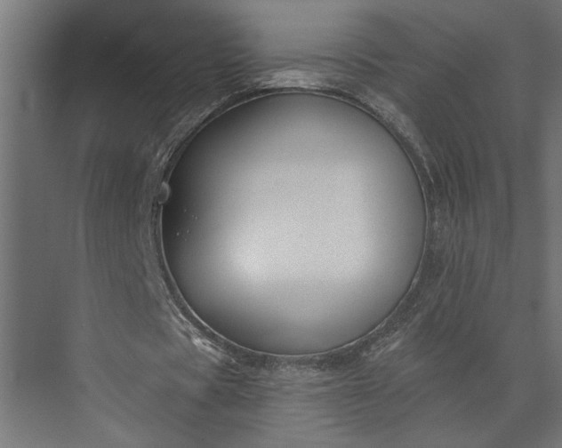 X0000073850529200608241045