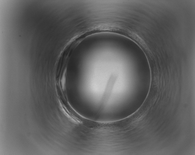 X0000073850530200608241045