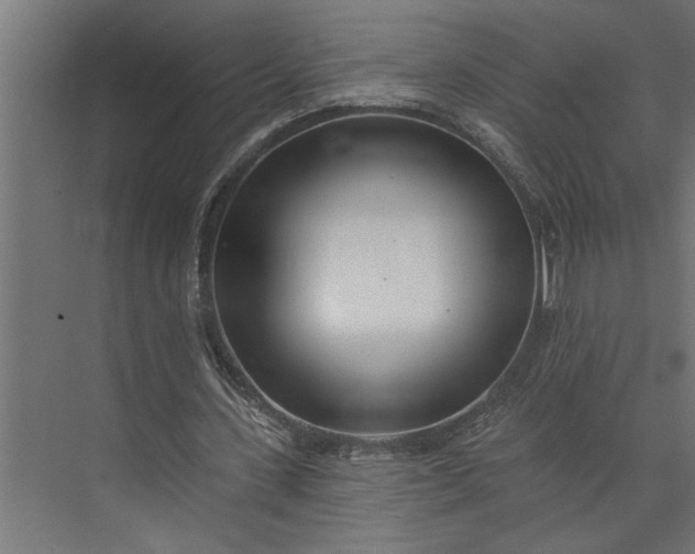 X0000073850531200608241045