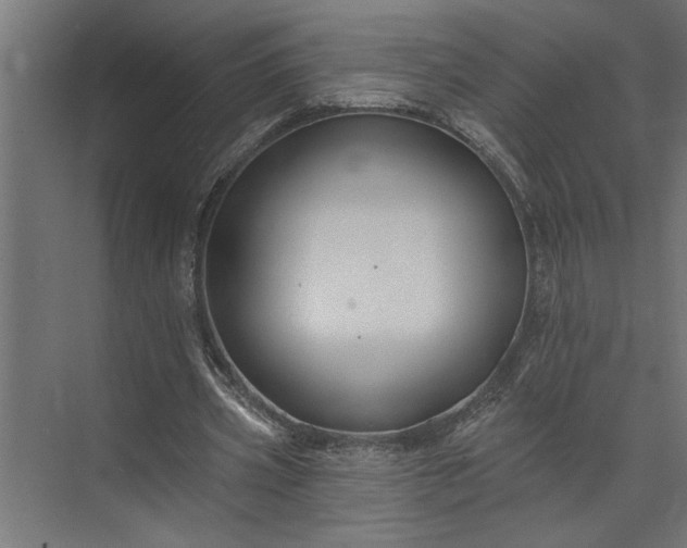 X0000073850533200608241045