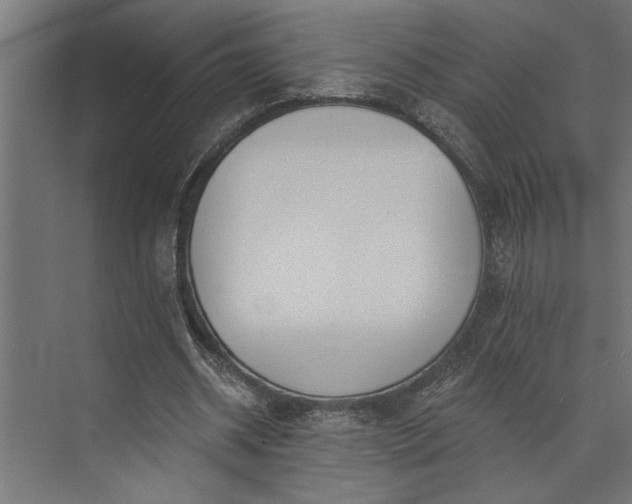 X0000073850534200608241045