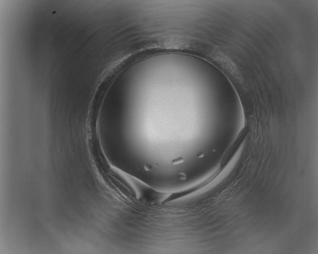 X0000073850536200608241045