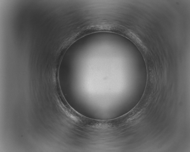 X0000073850537200608241045