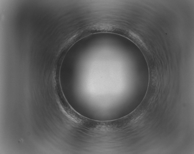 X0000073850538200608241045