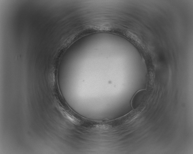 X0000073850541200608241045