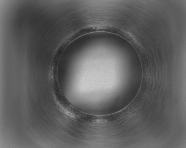 X0000073850543200608241045