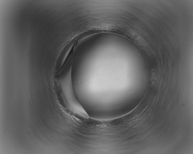 X0000073850544200608241045