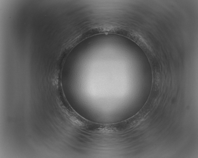 X0000073850545200608241045