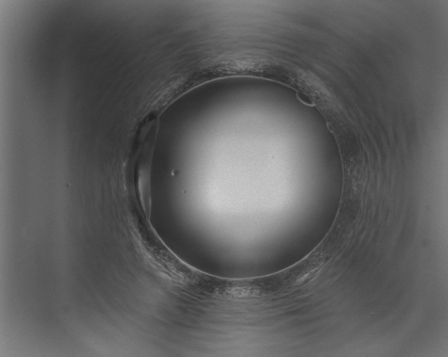 X0000073850546200608241045