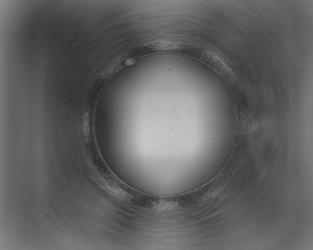 X0000073850549200608241045