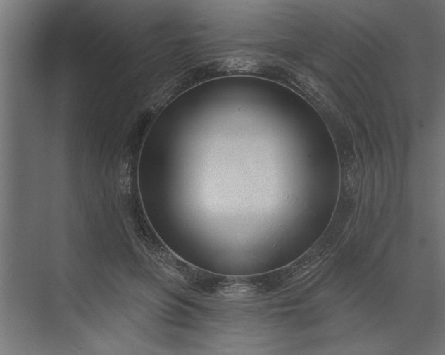 X0000073850551200608241045