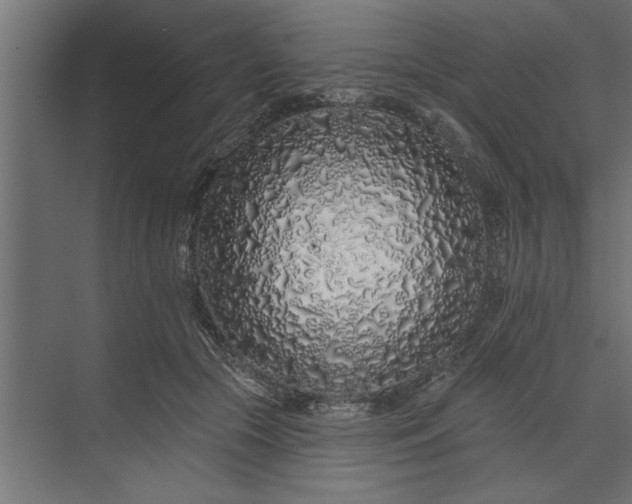 X0000073850553200608241045