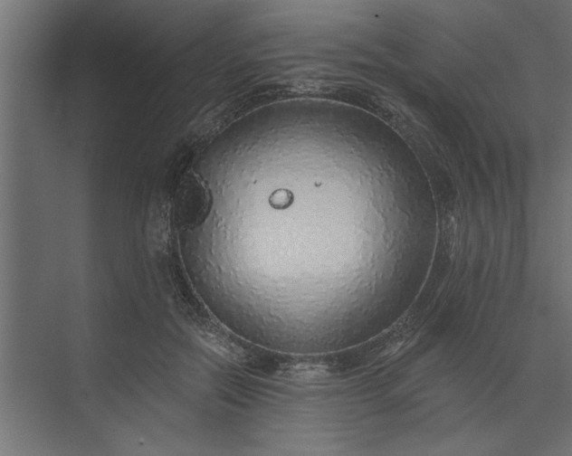 X0000073850554200608241045