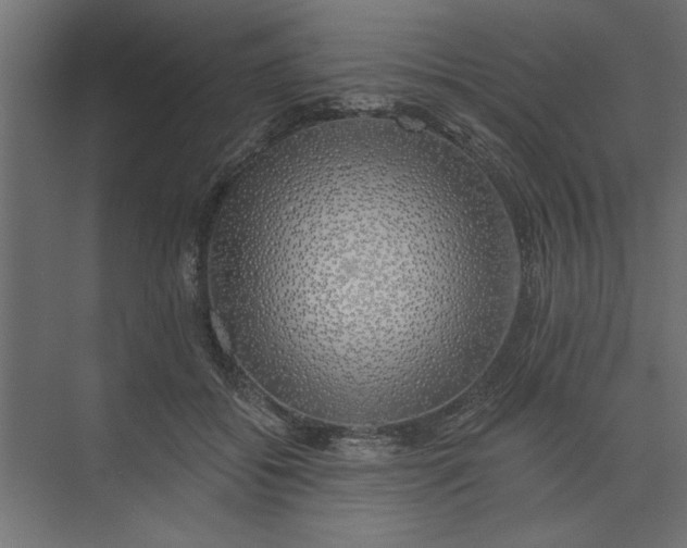 X0000073850556200608241045