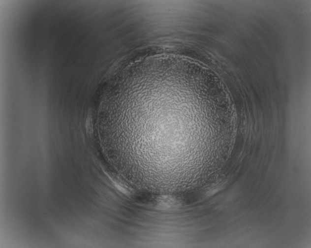 X0000073850562200608241045