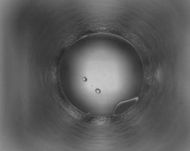 X0000073850563200608241045