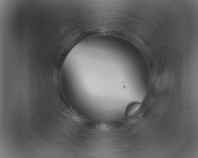 X0000073850565200608241045