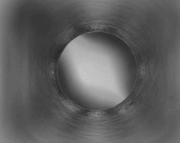 X0000073850567200608241046