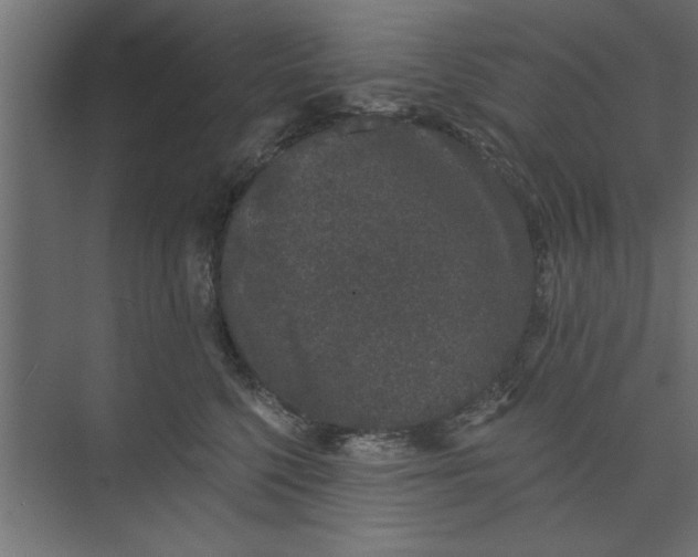 X0000073850568200608241046