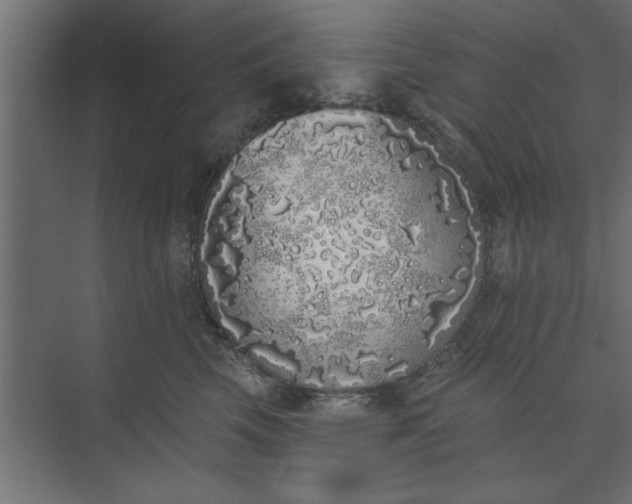 X0000073850569200608241046