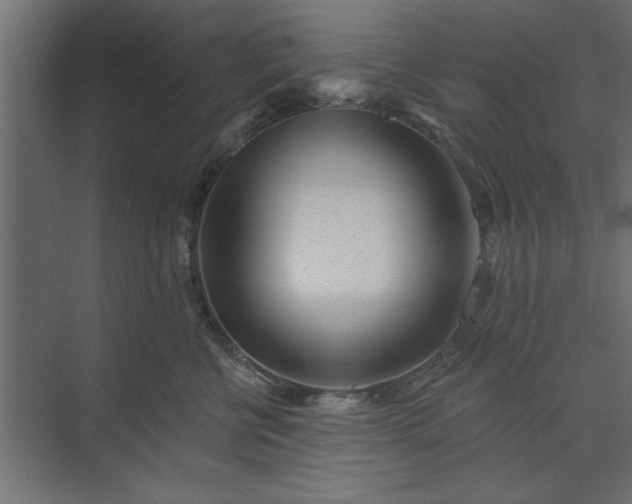 X0000073850570200608241046