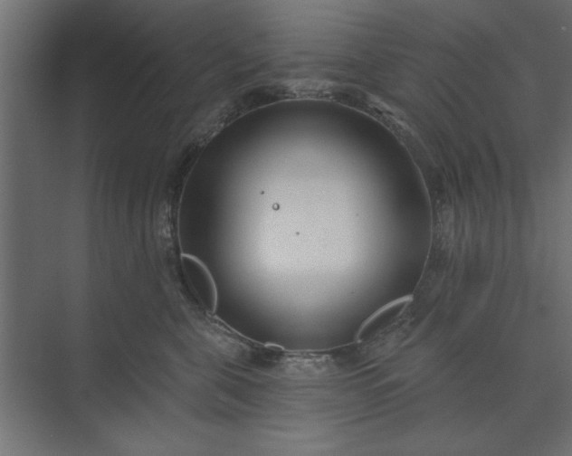 X0000073850571200608241046