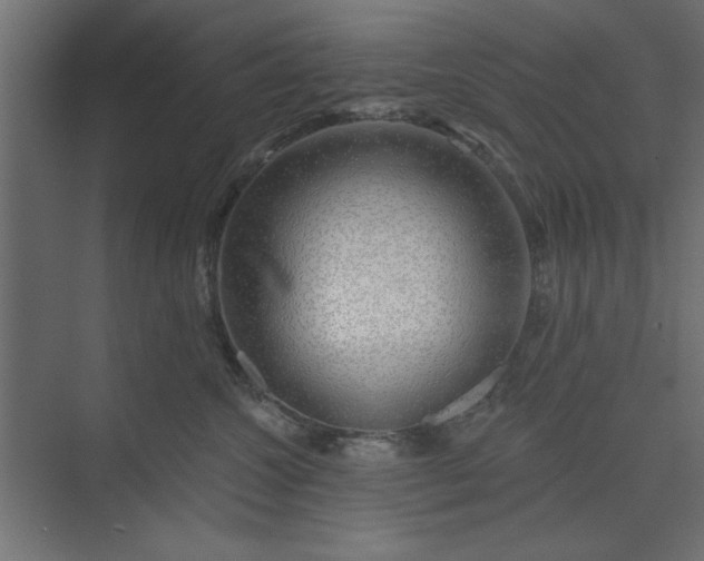 X0000073850572200608241046