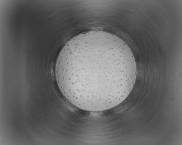 X0000073850573200608241046