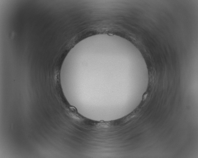 X0000073850574200608241046