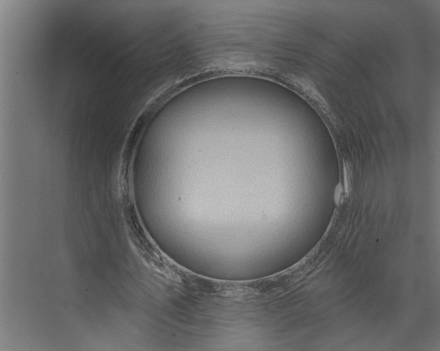 X0000073850579200608241045