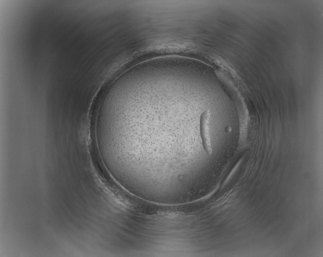 X0000073850582200608241045