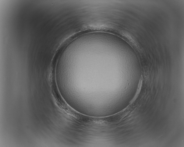 X0000073850583200608241045