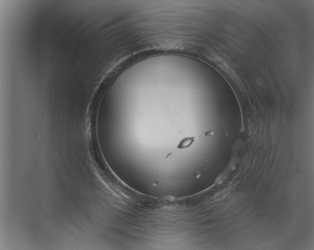 X0000073850584200608241045