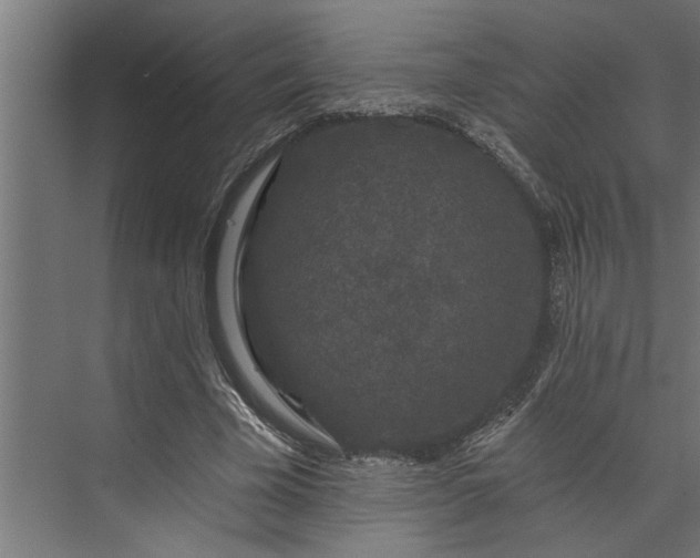 X0000073850585200608241045