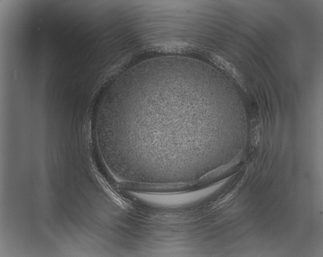 X0000073850589200608241045