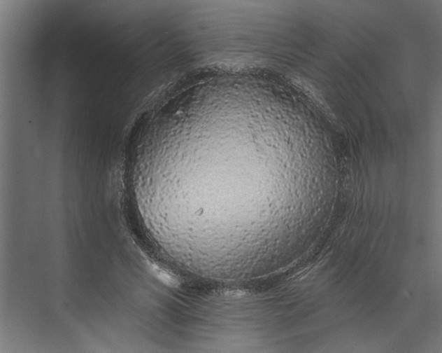 X0000073850590200608241045