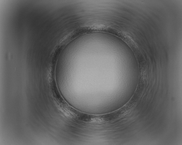 X0000073850591200608241045