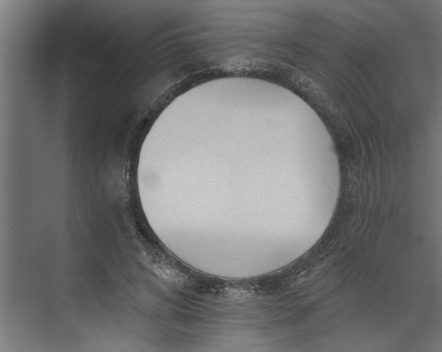 X0000073850592200608241045