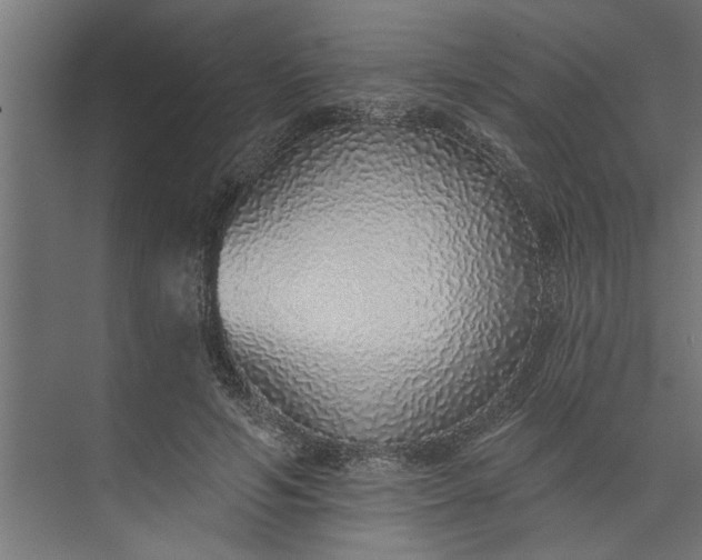 X0000073850594200608241045