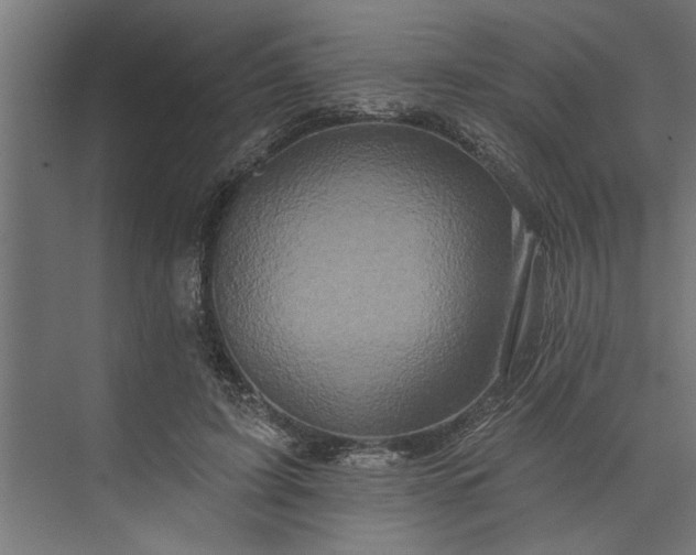 X0000073850595200608241045