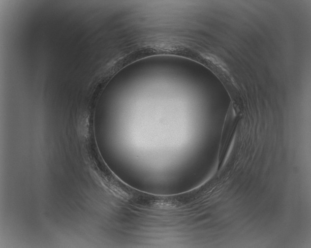 X0000073850596200608241045