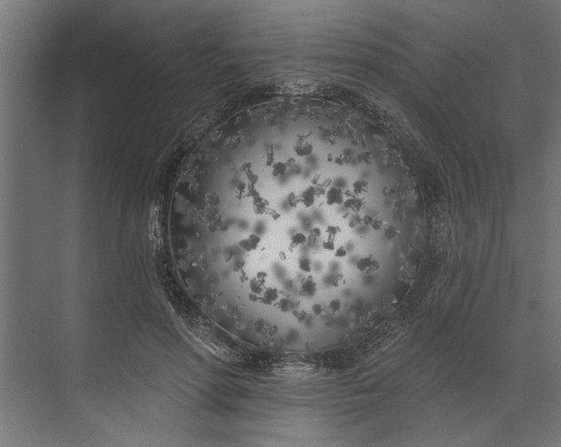 X0000073850598200608241045