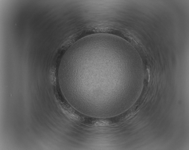 X0000073850599200608241045