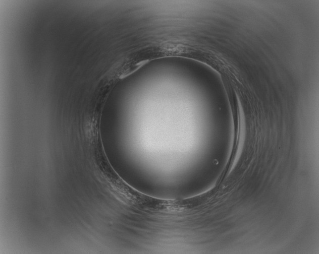 X0000073850601200608241044