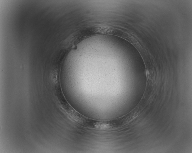 X0000073850602200608241044