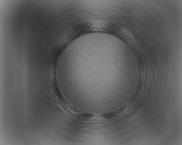 X0000073850603200608241044