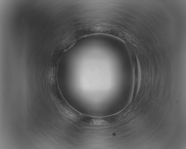 X0000073850605200608241044