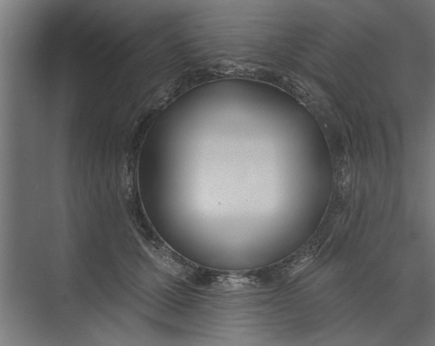 X0000073850607200608241044